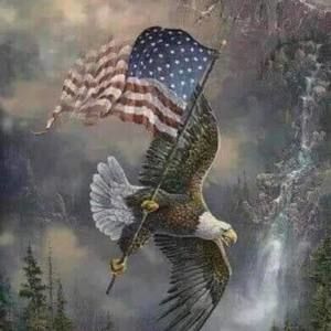 Meet your Posher, Shirley